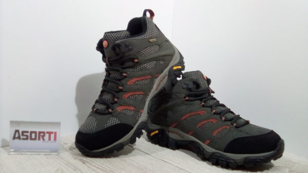 Мужские зимние ботинки Moab Mid Gore-Tex (J87313-1216) серые