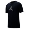 футболка Nike Air Jordan Iconic (AV1167-011)
